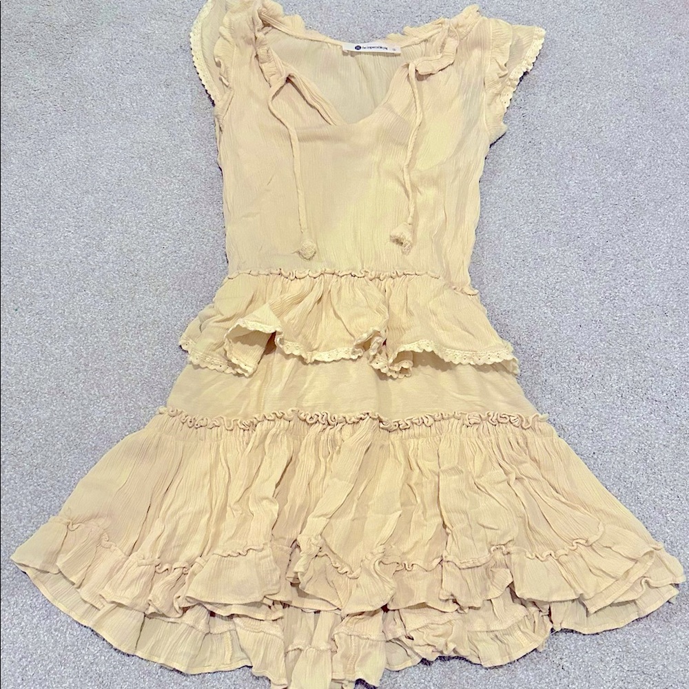 Impeccable Pig Boutique Dress
